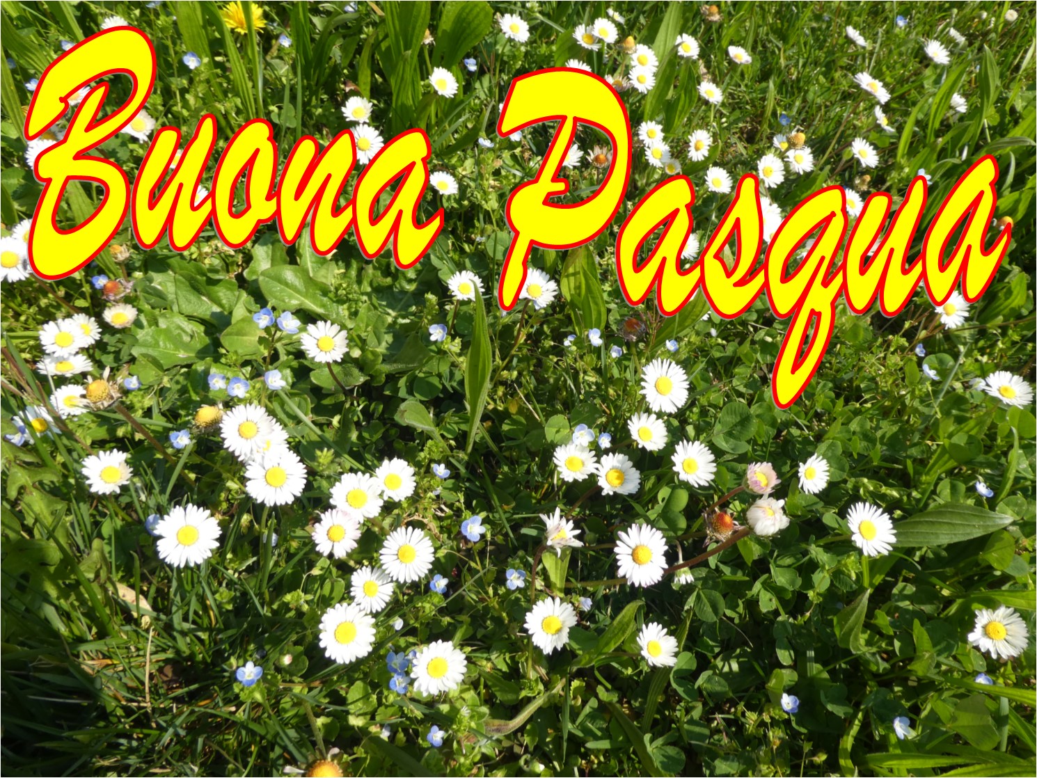 Domenica di Pasqua