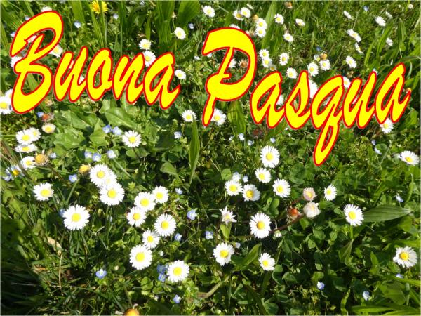 Domenica di Pasqua